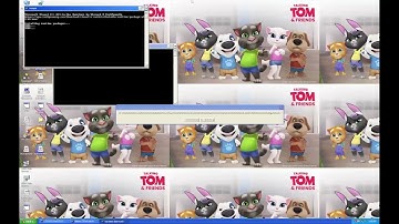 0x0000007B.exe vs Dingaling.exe while running Mercuryx86.exe