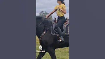 طريقة ركوب اضخم حصان في العالم Horse Horses Horsejump 