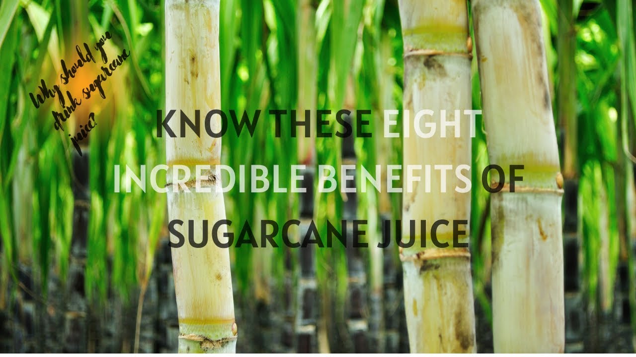 8 Incredible Health Benefits Of Sugarcane You Need To Know