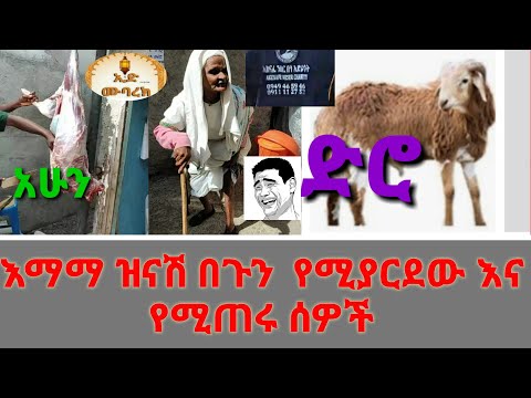 ቪዲዮ: በጉን ለሱፍ የሚያሰማራ ማነው?