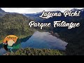 Laguna Pichi, Parque Futangue || LAGO RANCO - REGIÓN DE LOS RÍOS