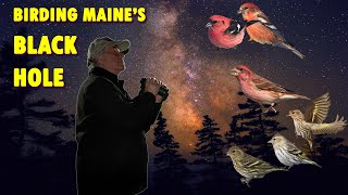 MAINE BIRDING in the Black Hole