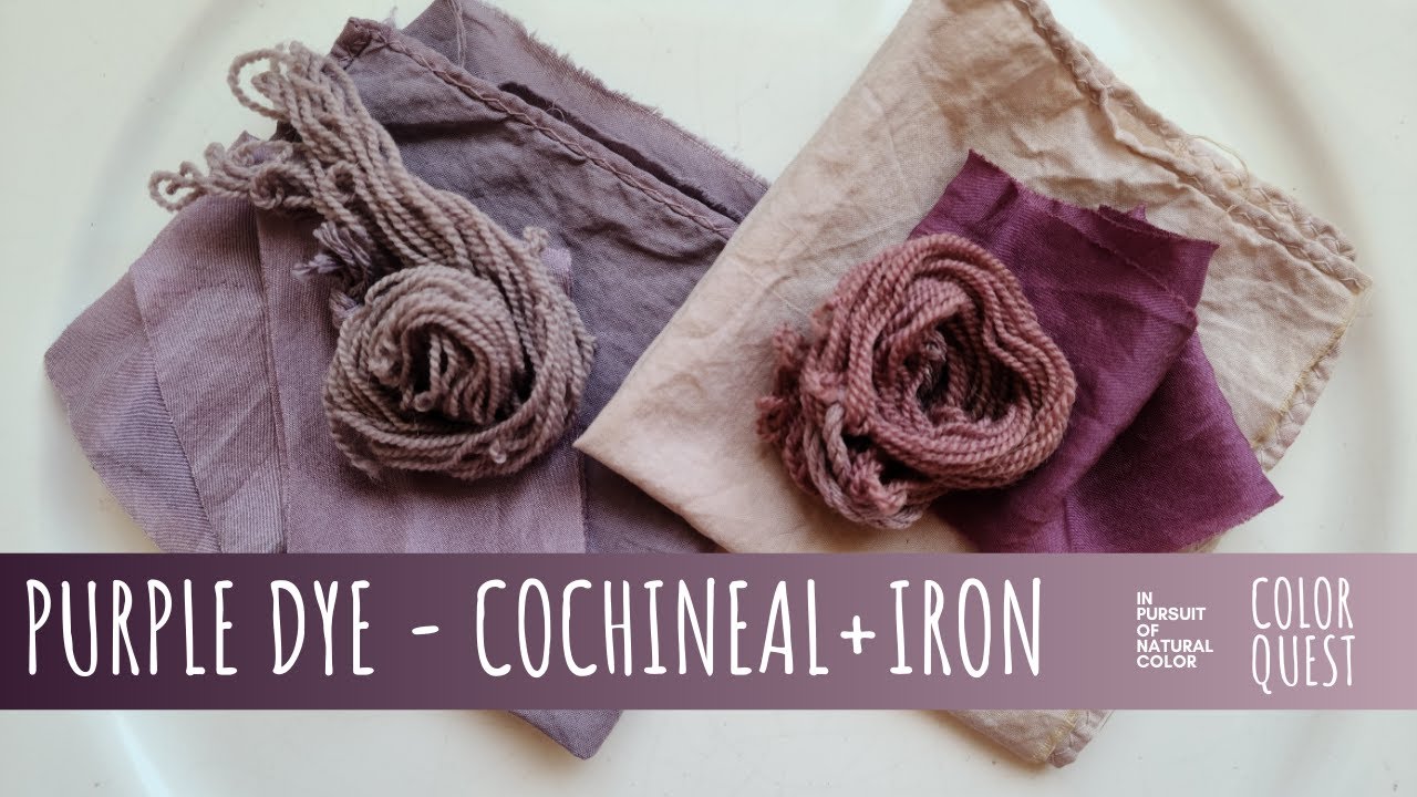 HOW TO MAKE PURPLE DYE WITH COCHINEAL, ORGANIC COLOR, WOOL SILK COTTON, RAINBOW PALETTE