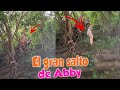 Abby se puso nerviosa pero logró vencer el miedo y tirarse.