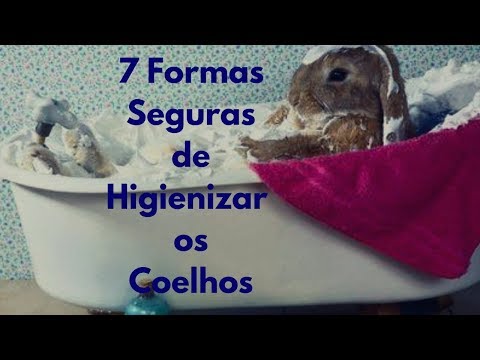 Vídeo: Como Lavar Coelhos Decorativos