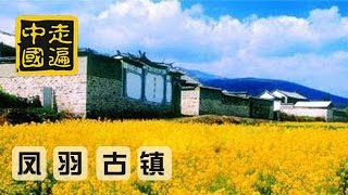 20141105 走遍中国 8集系列片《茶马古道古镇行》（4）凤羽——文武有道