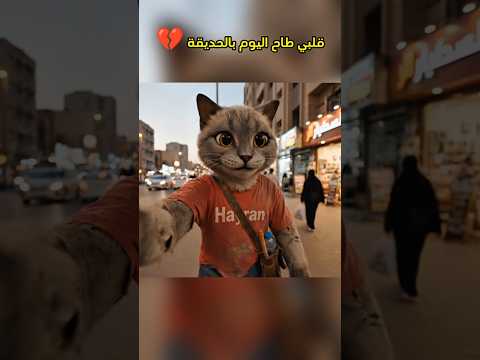 قسم بالله قلبي طاح اليوم بالحديقة القط حيران يوميات سيامو السعودية ترند السعودية فلوق