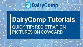 Dairycomp Tutorial: Registration Pictures on Cowcards