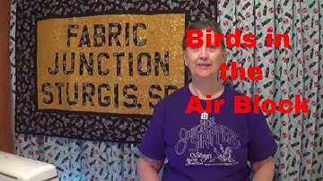 Birds in the Air block