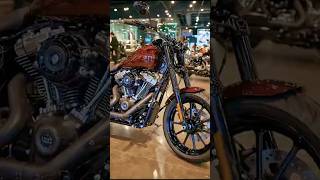 Harley Davidson Customized V-Rod walk around #bike #harleydavidson #sportsbike #bike