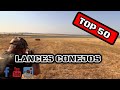 TOP 50 LANCES CONEJOS 2020 | RABBIT HUNTING TOP SETS