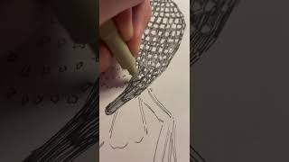 Drawing iconic birds: Part 15 - Common Loon #drawing #art #birds #inktober #traditionalart #sketch