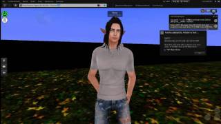 Second Life's new V3 interface