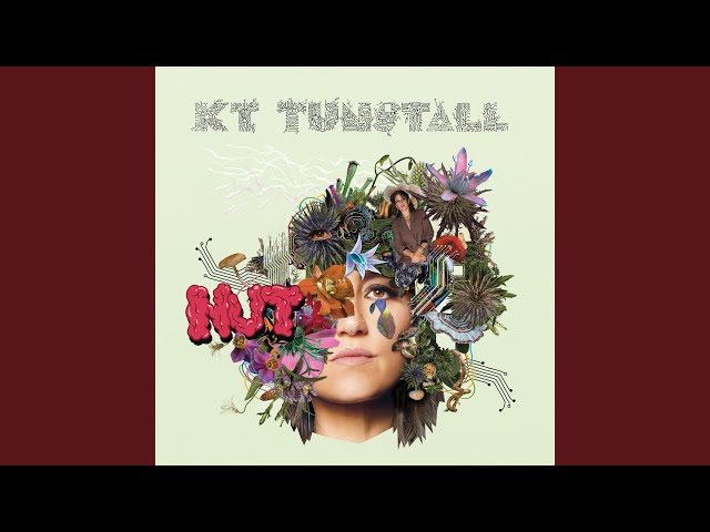 KT Tunstall - All The Time / Brain In A Jar