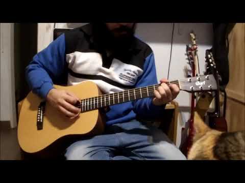 Cort Earth Mini OP - YouTube