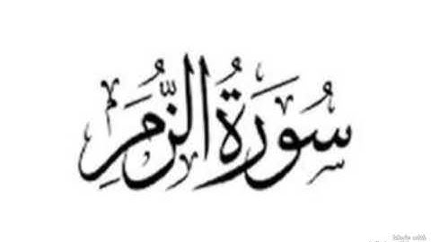 سورة الزمر بصوت الشيخ محمد صديق المنشاوي رحمه الله مجود بدون اعلانات