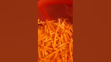 máy bào sợi dưa góp, máy thái sợi hũ dừa, sợi cà rốt Sh100