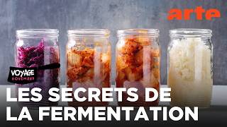 Tout Sur La Fermentation Voyage Gourmand Arte Évasion