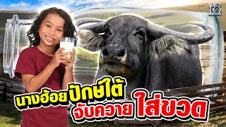 Southern girl, Garfield, caught a buffalo and put it in a bottle??!! | SUPER10