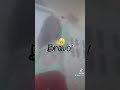 Vidor Do Tik Tok Meu Vidor Do Tik Tok Meu