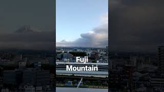 Fuji Mountain　shorts