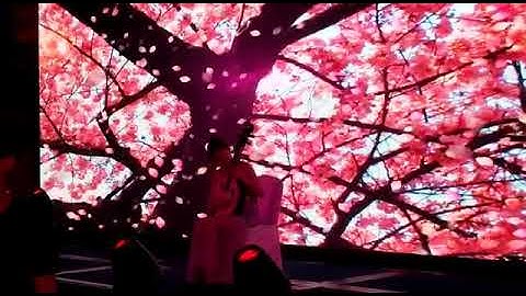 Interactive LED Wall by Sparkz Entertainment