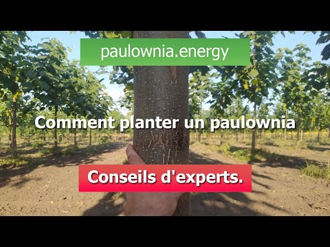 Planter Des Arbres Avec Des Graines Et Planter Des Arbres Aux Mains Des  Agriculteurs Idées De Croissance Des Plantes