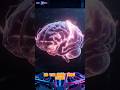 Do You Know Your Brain Stores 2.5 Million GB? 🧠😱| #shorts #DoYouKnow #BrainFacts #HumanBrain #reels