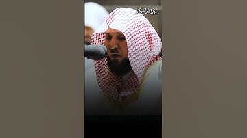 تلاوة بهيّة من سورة إبراهيم | تلاوة فضيلة الشيخ د.#ماهر_المعيقلي