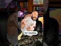 Angry Cops Shares Funniest Dad Moments