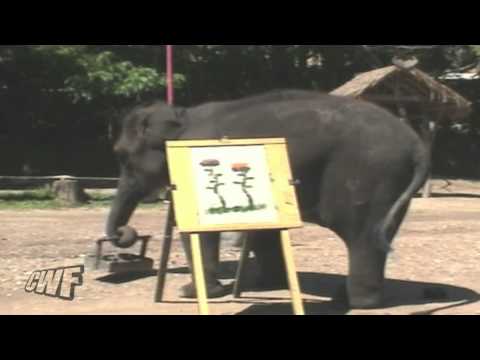 CuteWinFail: Elephant Art