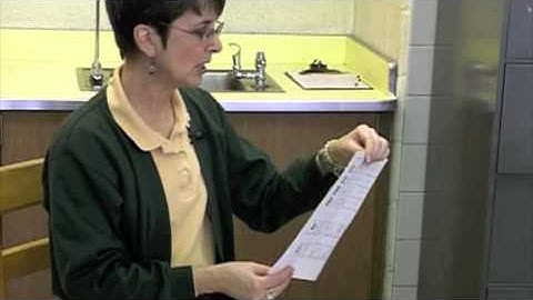 Reading Mastery Training Series Pt.12b: Sample workbook and storybook formats