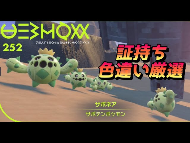 証持ち色違いサボネア厳選 初見さん歓迎です ポケモンsv 色証 Youtube