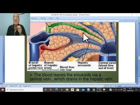 Hepatic disorders in Arabic 1 ( Bilharzial periportal fibrosis) , by Dr. Wahdan