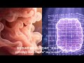 Tongue diagnosis&Pathology
