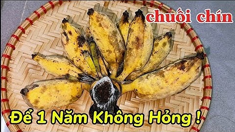 Cách Bảo Quản Chuối Chín Trong Tủ Lạnh 1 Năm Không Hỏng Ít Ai Biết