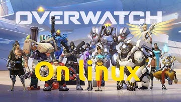 Overwatch on Linux with Lutris