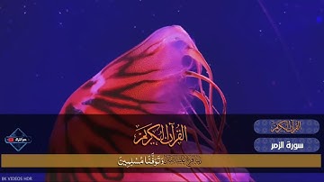 ما تيسر من سورة الزمر تلاوة مميزة ❤️|قران كريم#قران_كريم #المصحف #اكسبلور #تيك_توك #ترند 