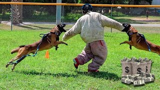 Last To Die Wins $1,000,000!!! (Insane Police Dog Chase Challenge)