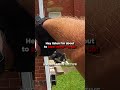 Suspects Attacks Cop (Gone Wrong)