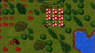 Tibia Ot War