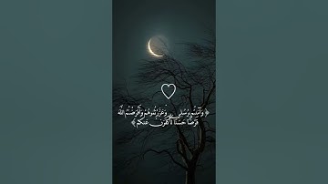 وقال الله إني معكم - تلاوة جميلة للشيخ مشاري العفاسي