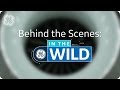 Behind the Scenes: In The Wild - GE Aviation