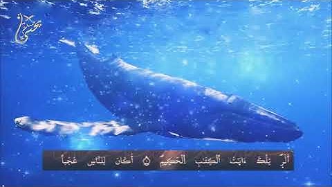 سورة يونس كاملة للقارئ المغربي يحيي صدقي