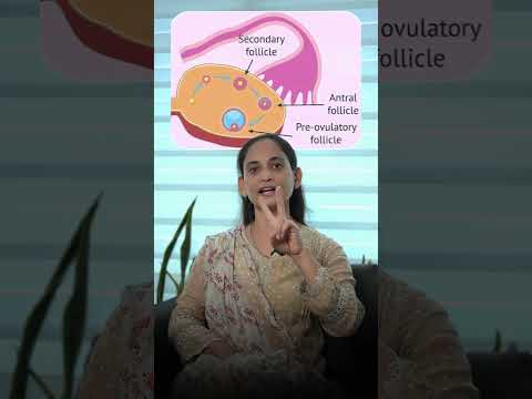 understanding your healthcare needs is the first step in this journey