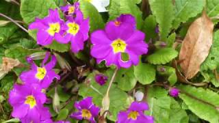 Another Life Une Autre Vie