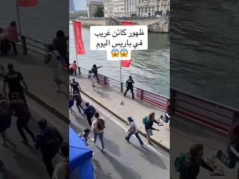 فيديو: شارع الشهداء في باريس: دليل كامل