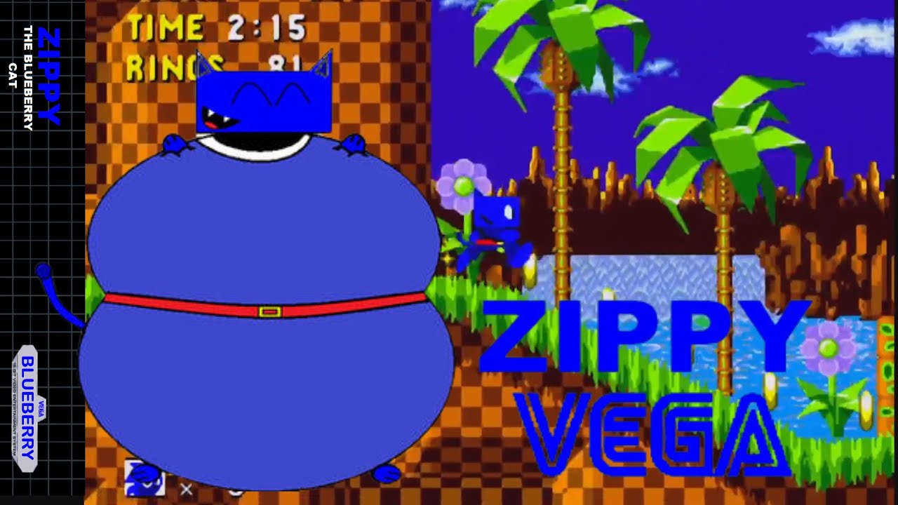 Zippy The Blueberry Cat ( Sonic 1 HackRom) YouTube