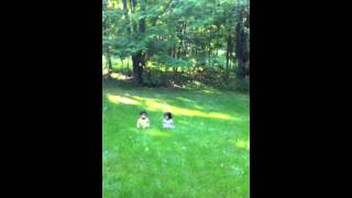 Leah Vs Max Uphill 2