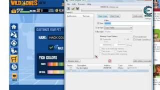 Exclusivo Doble Color Hack - Wild Ones